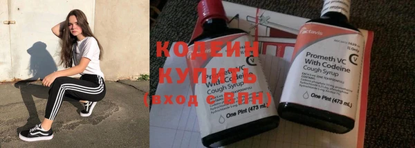 apvp Каменногорск