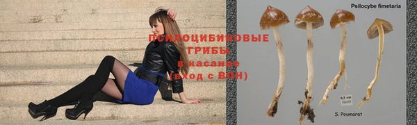 меф VHQ Инта