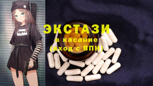 гидра Инсар