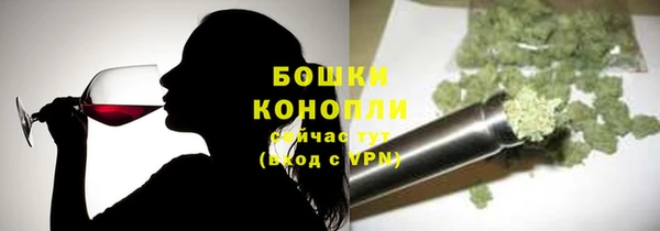 молекула духа Иннополис