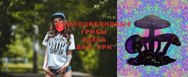 гидра Инсар