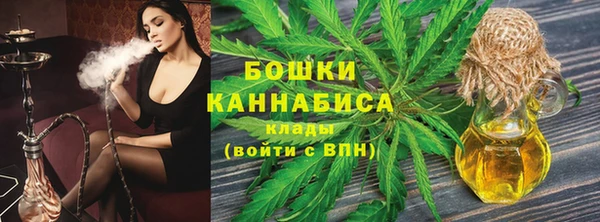 гидра Инсар