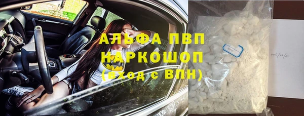 молекула духа Иннополис