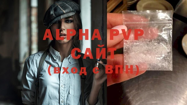 амф Каменка