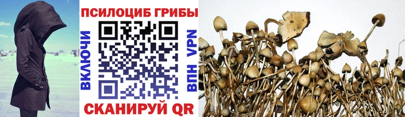 Псилоцибиновые грибы MAGIC MUSHROOMS  Купить  Дальнегорск 